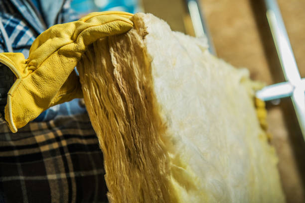 Best Cellulose Insulation in Lakeland, NY
