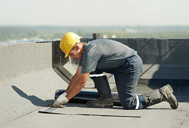 Best Eco-Friendly Insulation in Lakeland, NY