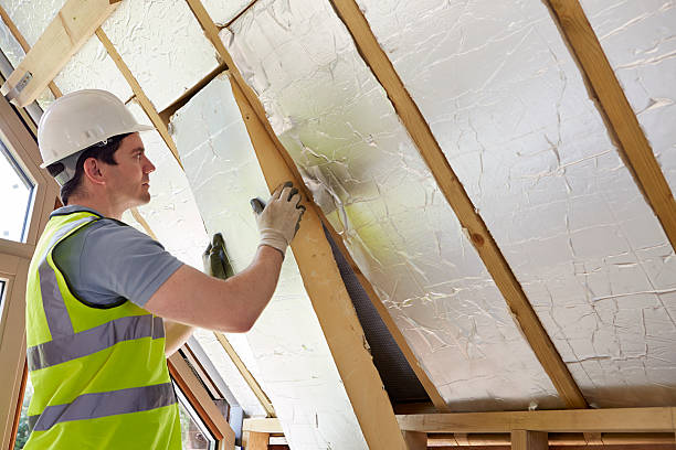 Best DIY Insulation Kits and Guidance in Lakeland, NY